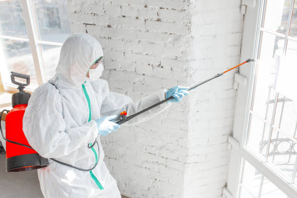 Mold Odor Removal Services in Manchester, TN